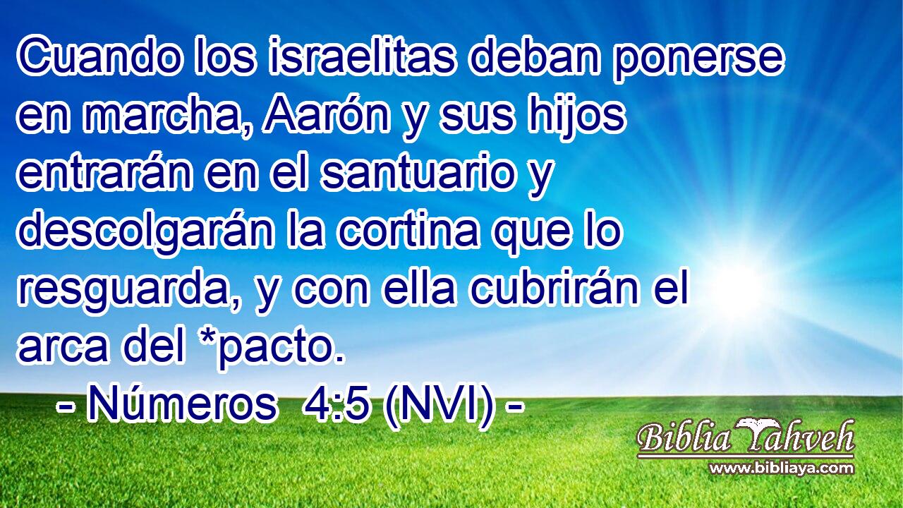  Cuando los israelitas deban ponerse en marcha, Aarón y sus hijos entrarán en el santuario y descolgarán la cortina que lo resguarda, y con ella cubrirán el arca del *pacto. 