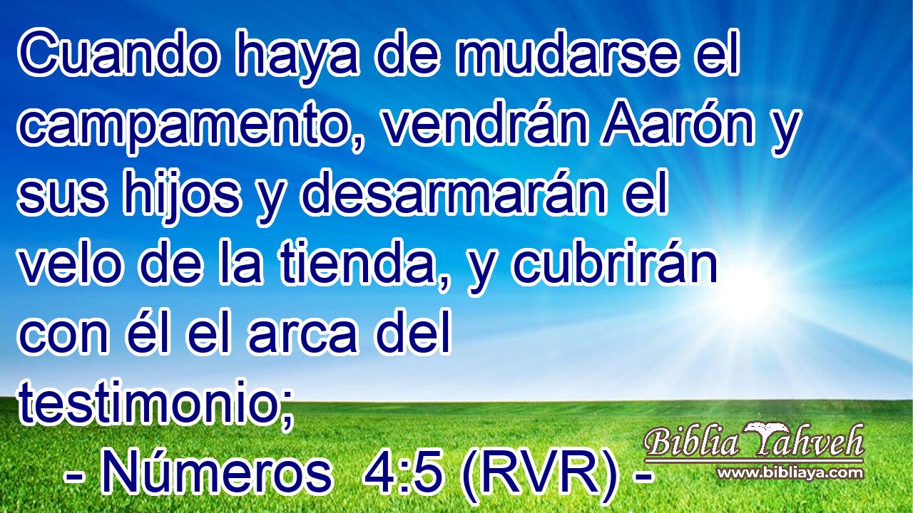 Cuando haya de mudarse el campamento, vendrán Aarón y sus hijos y desarmarán el velo de la tienda, y cubrirán con él el arca del testimonio;