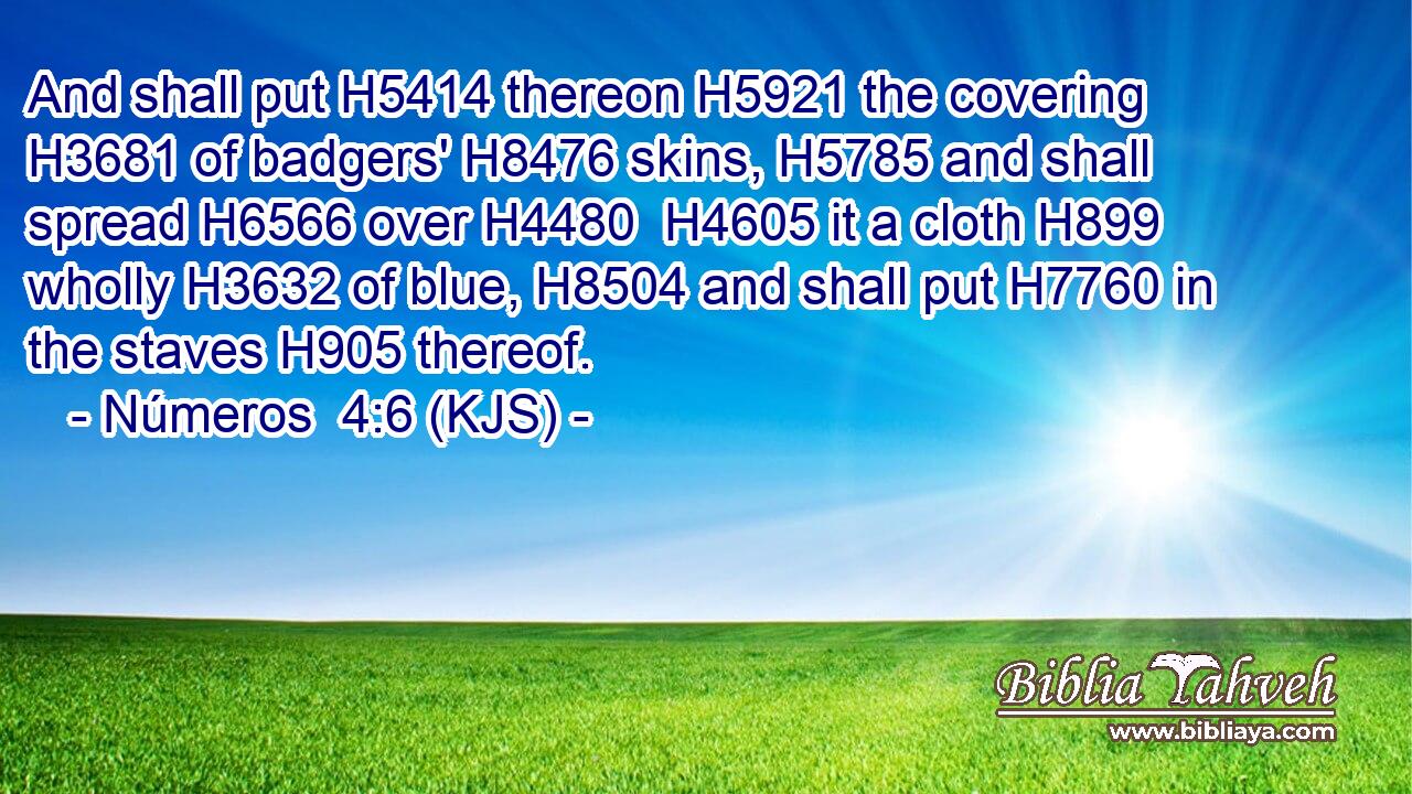 And shall put H5414 thereon H5921 the covering H3681 of badgers' H8476 skins, H5785 and shall spread H6566 over H4480  H4605 it a cloth H899 wholly H3632 of blue, H8504 and shall put H7760 in the staves H905 thereof.