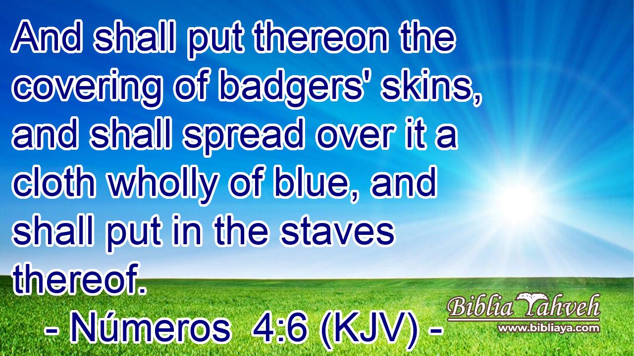 And shall put thereon the covering of badgers' skins, and shall spread over it a cloth wholly of blue, and shall put in the staves thereof.