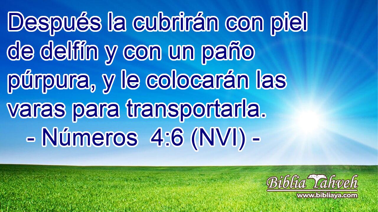  Después la cubrirán con piel de delfín y con un paño púrpura, y le colocarán las varas para transportarla. 