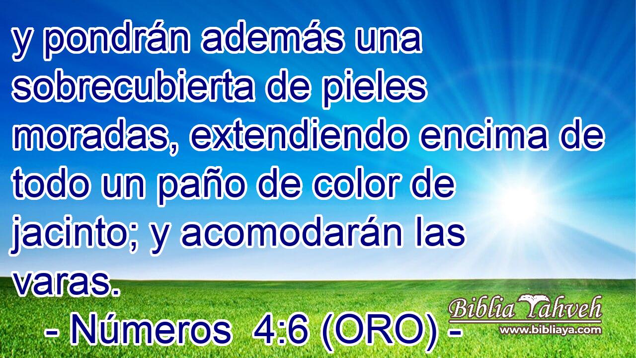  y pondrán además una sobrecubierta de pieles moradas, extendiendo encima de todo un paño de color de jacinto; y acomodarán las varas. 