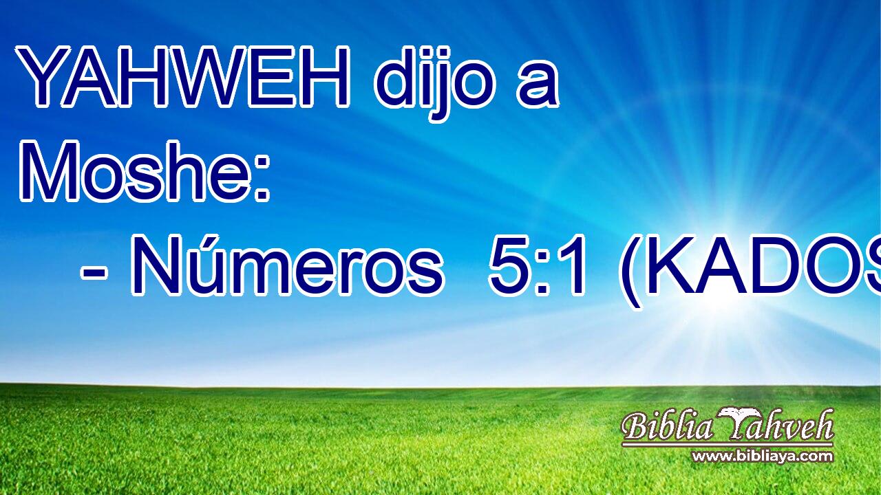  YAHWEH dijo a Moshe: 