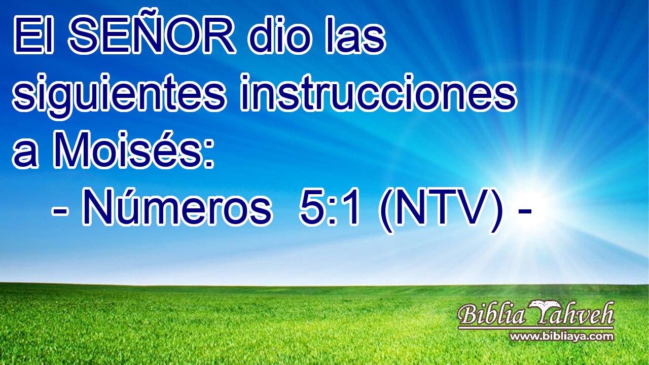 El SEÑOR dio las siguientes instrucciones a Moisés: