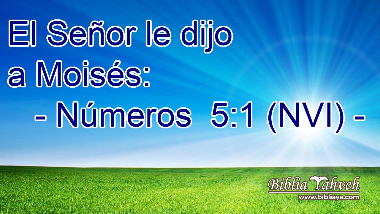  El Señor le dijo a Moisés: 