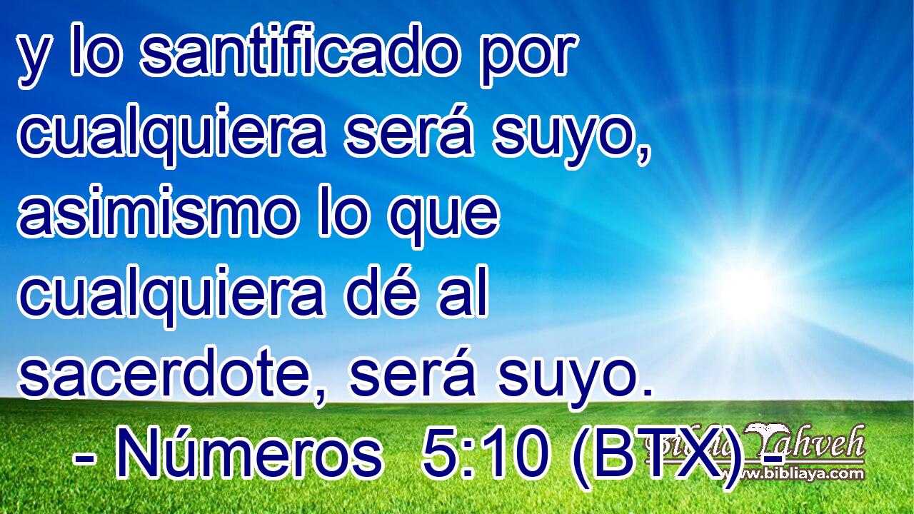 y lo santificado por cualquiera será suyo, asimismo lo que cualquiera dé al sacerdote, será suyo.