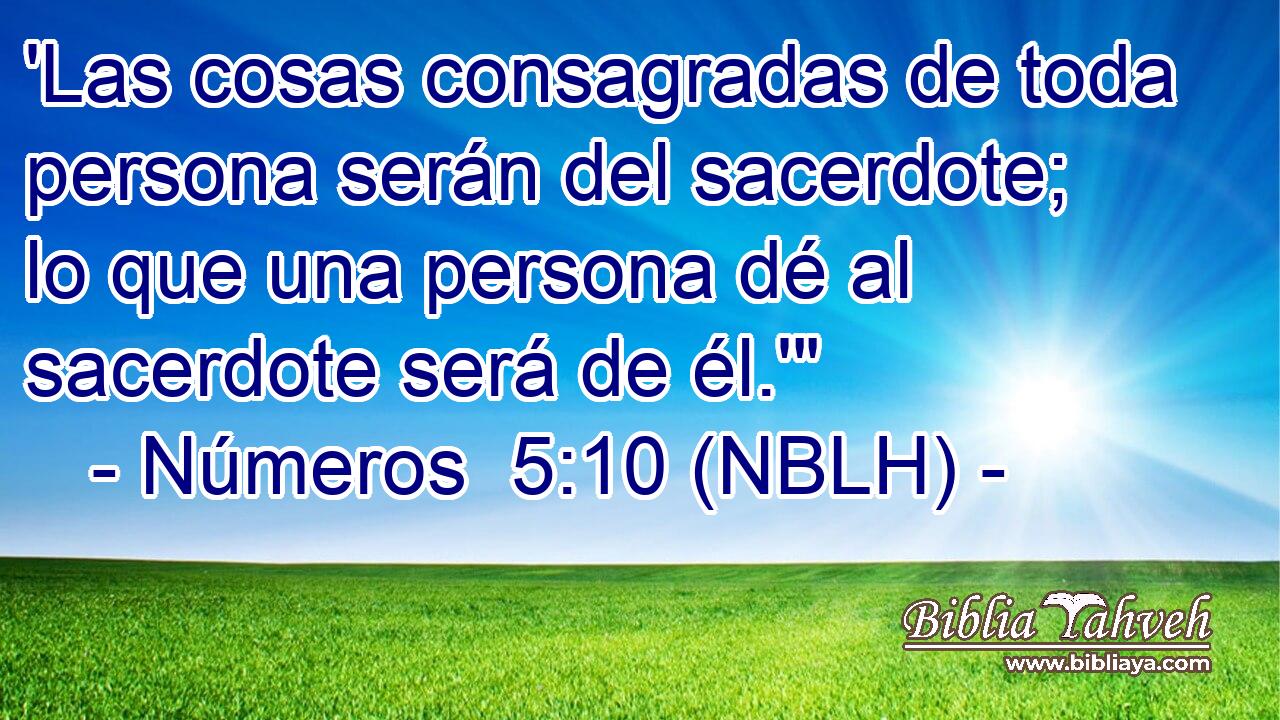  'Las cosas consagradas de toda persona serán del sacerdote; lo que una persona dé al sacerdote será de él.'