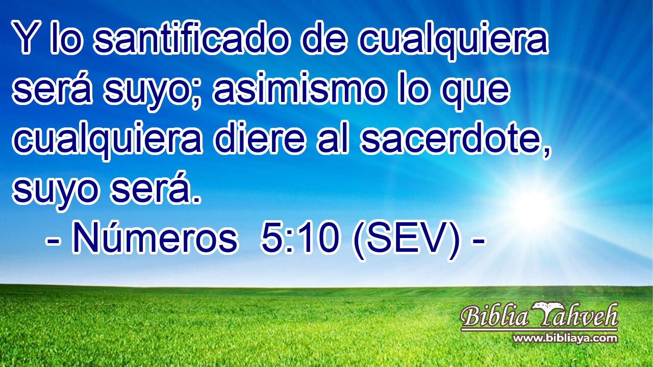 Y lo santificado de cualquiera será suyo; asimismo lo que cualquiera diere al sacerdote, suyo será.