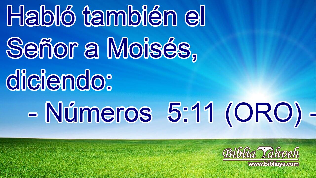  Habló también el Señor a Moisés, diciendo: 