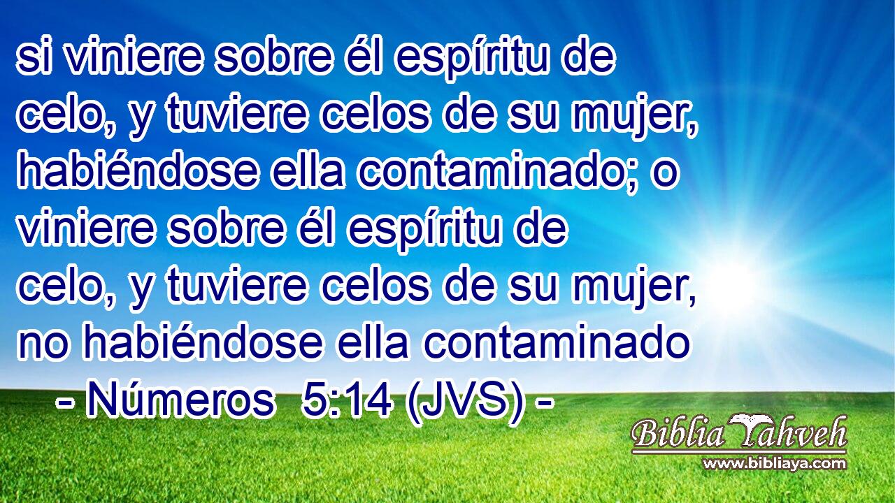 si viniere sobre él espíritu de celo, y tuviere celos de su mujer, habiéndose ella contaminado; o viniere sobre él espíritu de celo, y tuviere celos de su mujer, no habiéndose ella contaminado