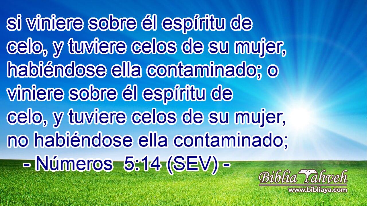 si viniere sobre él espíritu de celo, y tuviere celos de su mujer, habiéndose ella contaminado; o viniere sobre él espíritu de celo, y tuviere celos de su mujer, no habiéndose ella contaminado;