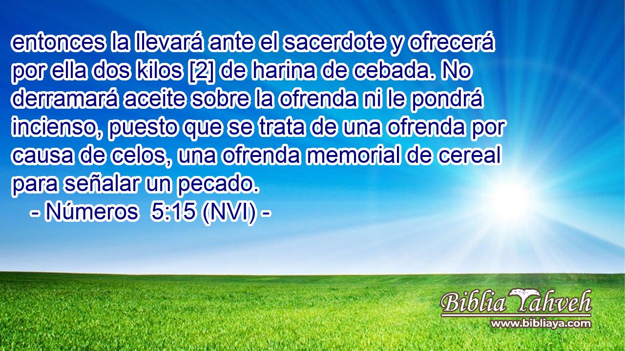  entonces la llevará ante el sacerdote y ofrecerá por ella dos kilos [2] de harina de cebada. No derramará aceite sobre la ofrenda ni le pondrá incienso, puesto que se trata de una ofrenda por causa de celos, una ofrenda memorial de cereal para señalar un pecado. 