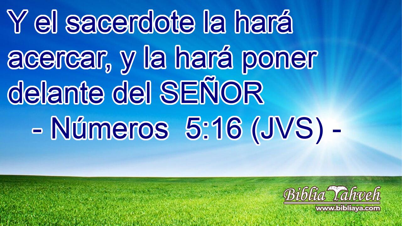 Y el sacerdote la hará acercar, y la hará poner delante del SEÑOR