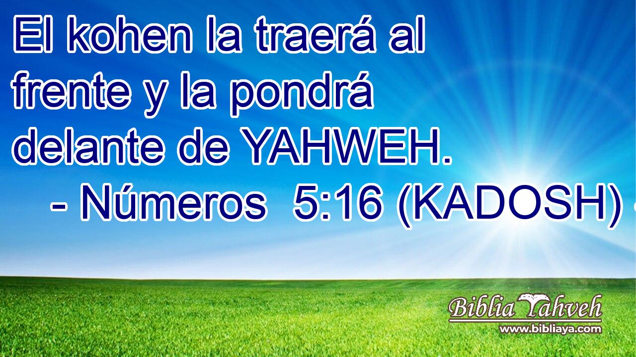 El kohen la traerá al frente y la pondrá delante de YAHWEH. 