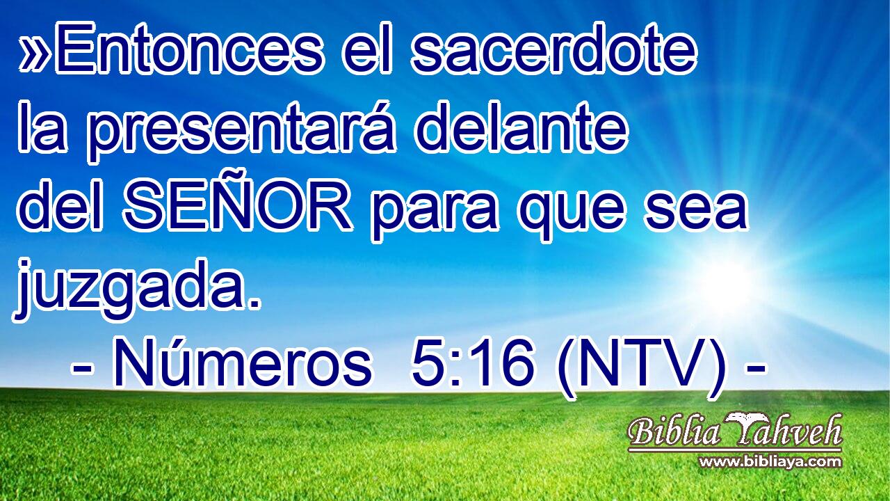 »Entonces el sacerdote la presentará delante del SEÑOR para que sea juzgada.