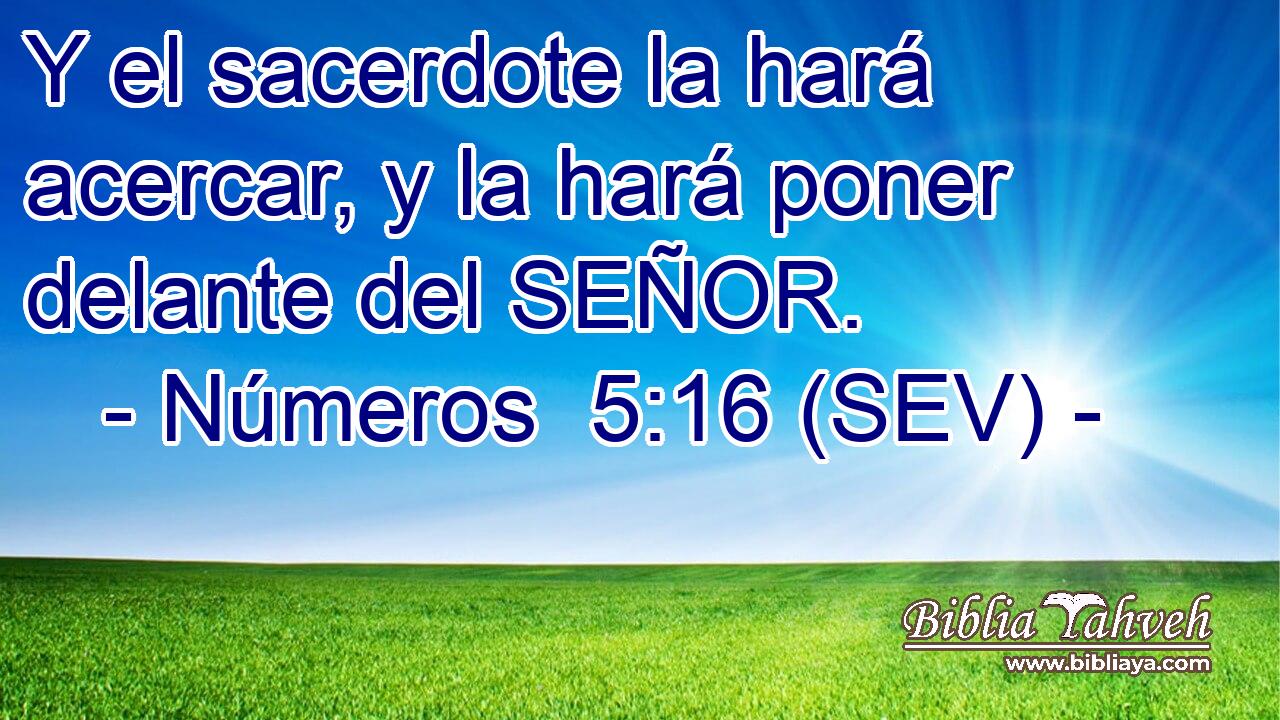 Y el sacerdote la hará acercar, y la hará poner delante del SEÑOR.