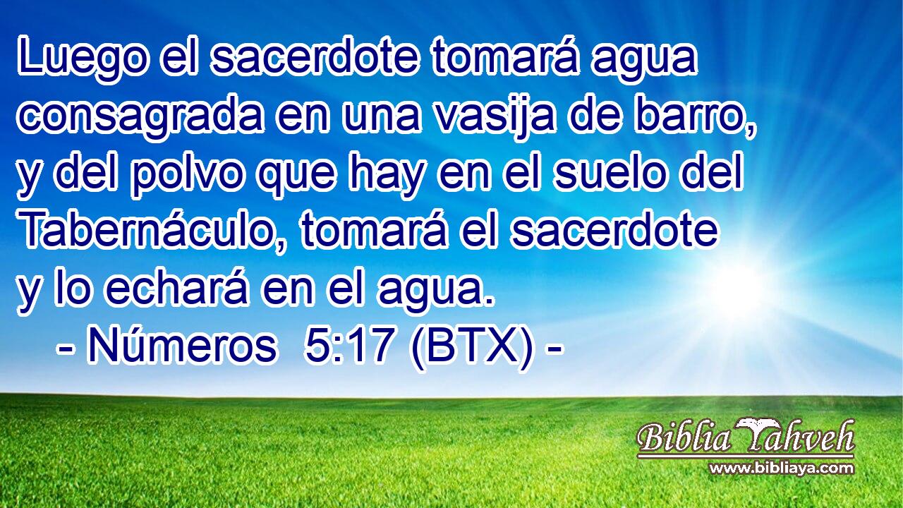 Luego el sacerdote tomará agua consagrada en una vasija de barro, y del polvo que hay en el suelo del Tabernáculo, tomará el sacerdote y lo echará en el agua.