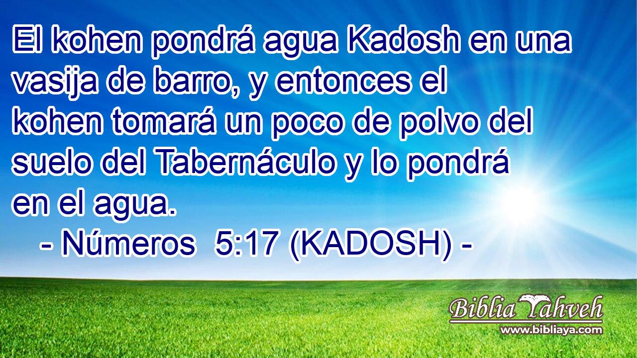  El kohen pondrá agua Kadosh en una vasija de barro, y entonces el kohen tomará un poco de polvo del suelo del Tabernáculo y lo pondrá en el agua. 