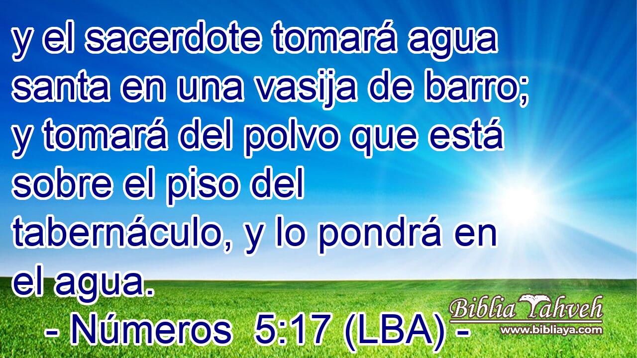 y el sacerdote tomará agua santa en una vasija de barro; y tomará del polvo que está sobre el piso del tabernáculo, y lo pondrá en el agua.