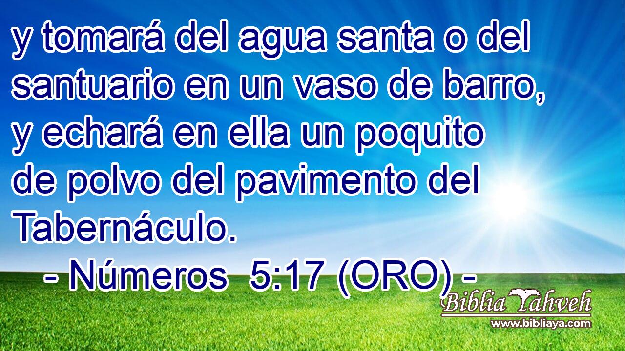  y tomará del agua santa o del santuario en un vaso de barro, y echará en ella un poquito de polvo del pavimento del Tabernáculo. 