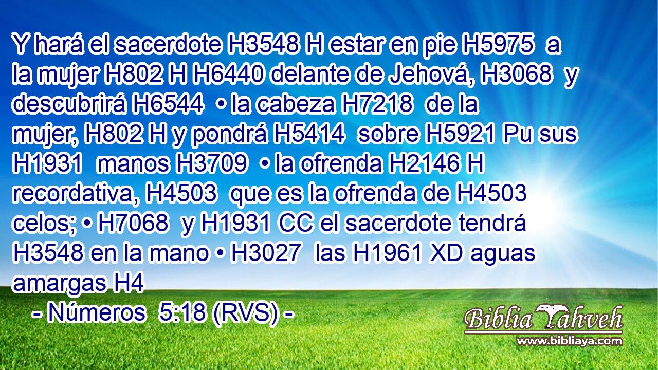 Y hará el sacerdote H3548 H estar en pie H5975  a la mujer H802 H H6440 delante de Jehová, H3068  y descubrirá H6544  • la cabeza H7218  de la mujer, H802 H y pondrá H5414  sobre H5921 Pu sus H1931  manos H3709  • la ofrenda H2146 H recordativa, H4503  que es la ofrenda de H4503 celos; • H7068  y H1931 CC el sacerdote tendrá H3548 en la mano • H3027  las H1961 XD aguas amargas H4