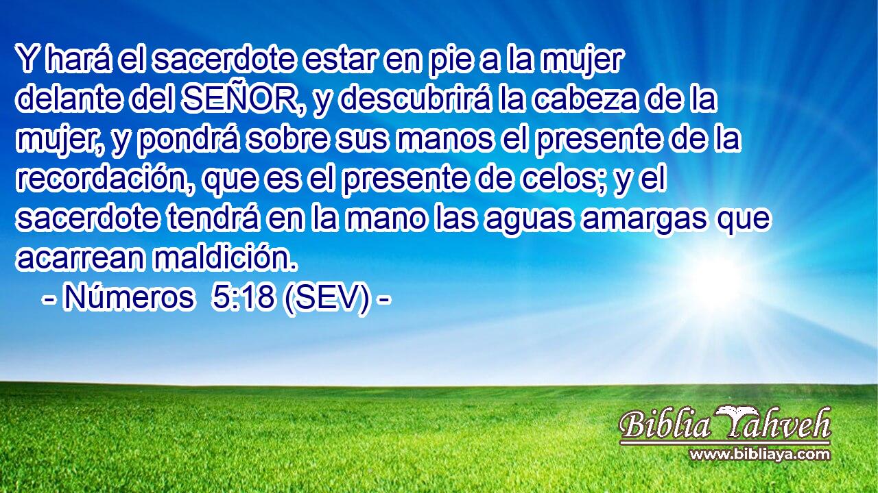 Y hará el sacerdote estar en pie a la mujer delante del SEÑOR, y descubrirá la cabeza de la mujer, y pondrá sobre sus manos el presente de la recordación, que es el presente de celos; y el sacerdote tendrá en la mano las aguas amargas que acarrean maldición.