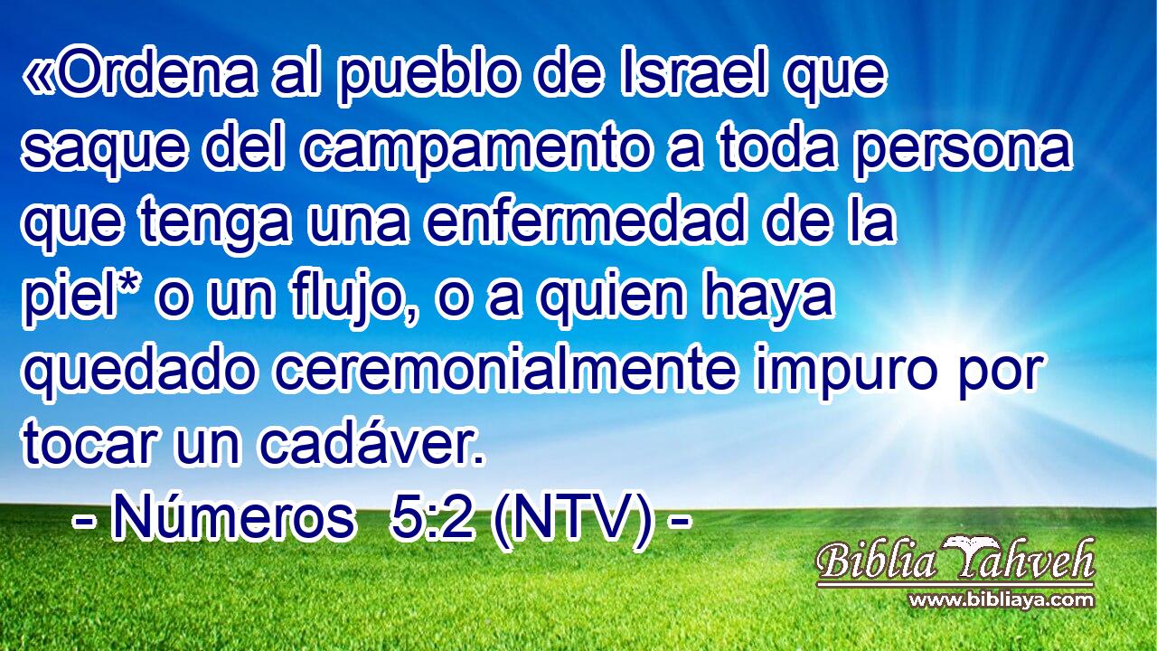 «Ordena al pueblo de Israel que saque del campamento a toda persona que tenga una enfermedad de la piel* o un flujo, o a quien haya quedado ceremonialmente impuro por tocar un cadáver.