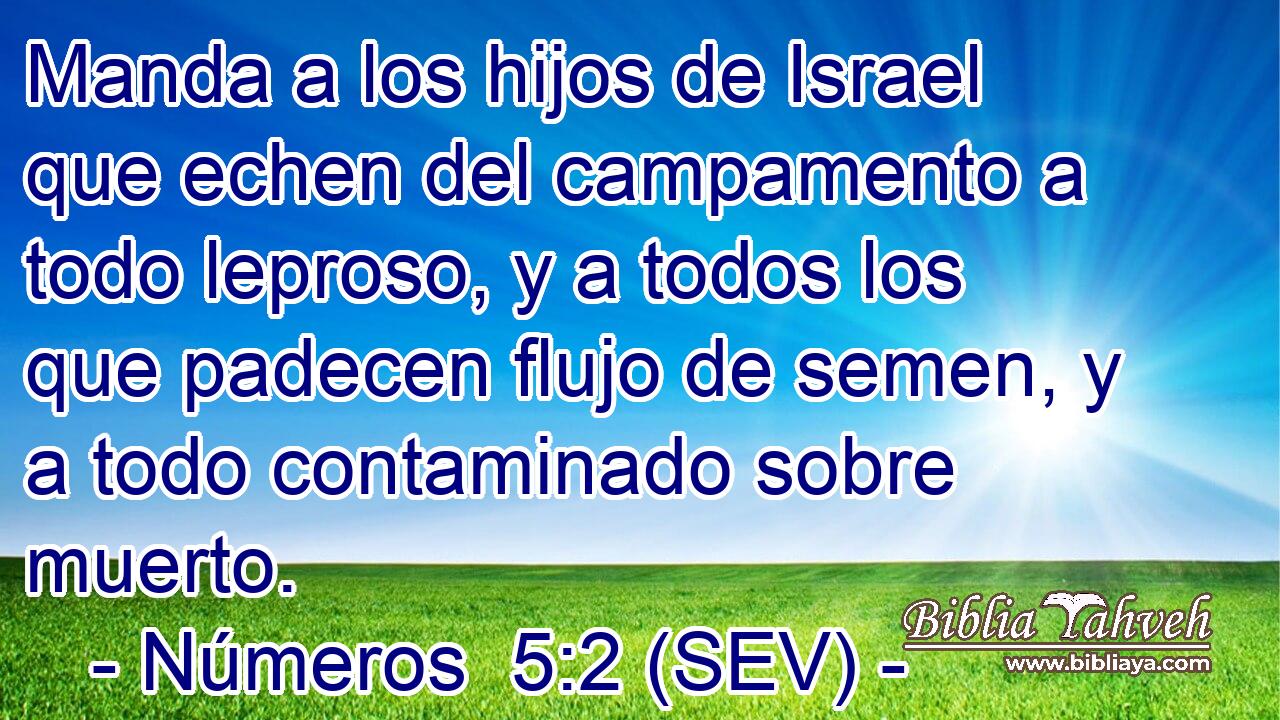 Manda a los hijos de Israel que echen del campamento a todo leproso, y a todos los que padecen flujo de semen, y a todo contaminado sobre muerto.