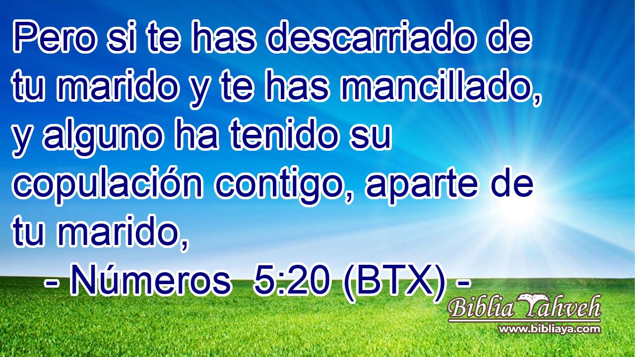 Pero si te has descarriado de tu marido y te has mancillado, y alguno ha tenido su copulación contigo, aparte de tu marido,