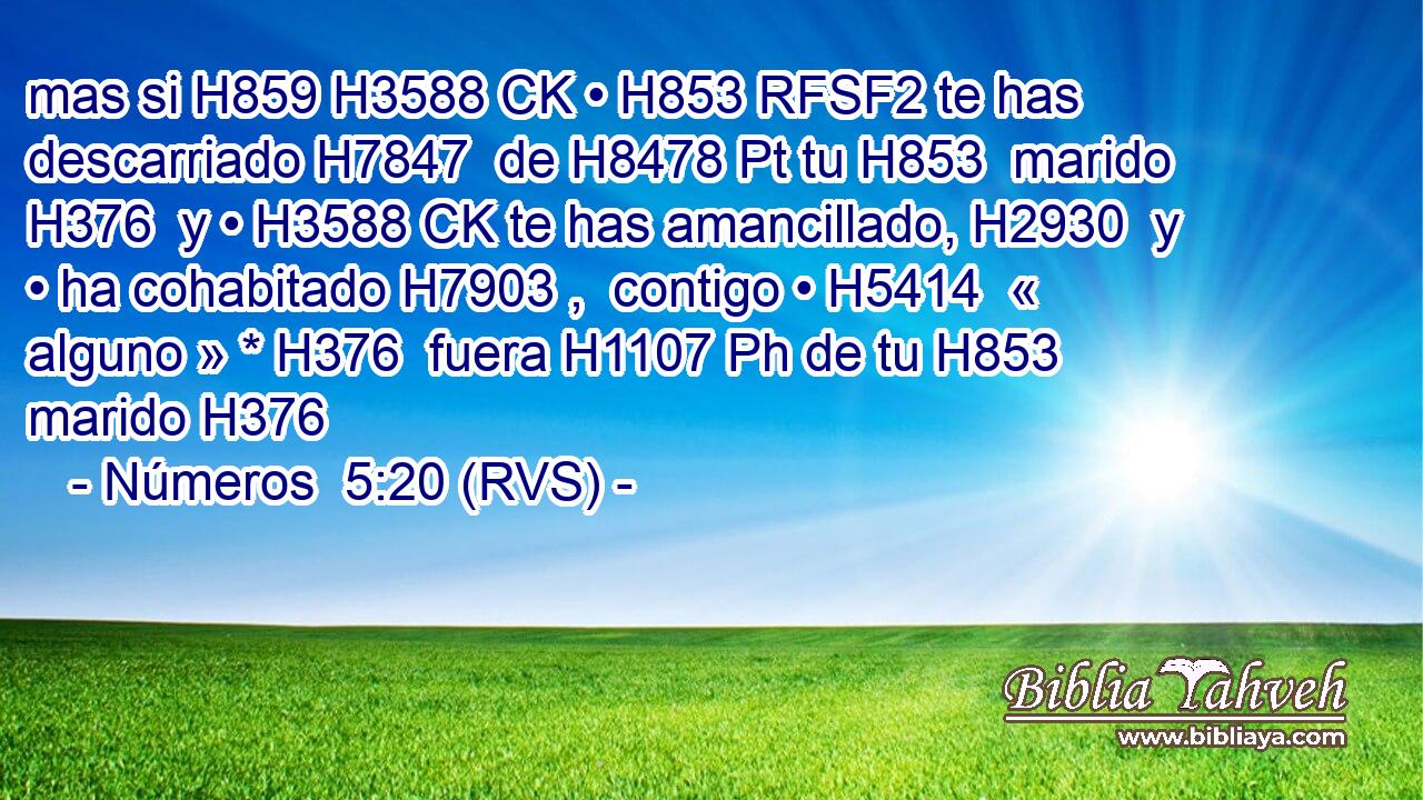 mas si H859 H3588 CK • H853 RFSF2 te has descarriado H7847  de H8478 Pt tu H853  marido H376  y • H3588 CK te has amancillado, H2930  y • ha cohabitado H7903 ,  contigo • H5414  « alguno » * H376  fuera H1107 Ph de tu H853  marido H376  