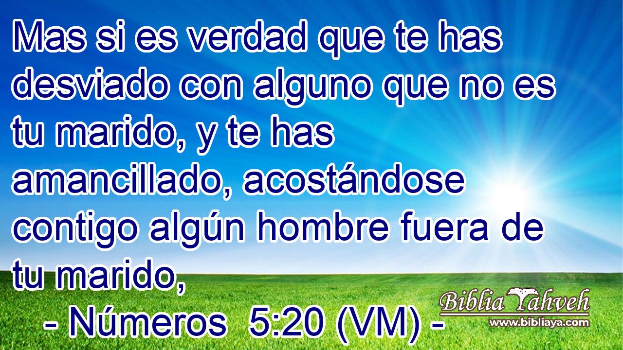  Mas si es verdad que te has desviado con alguno que no es tu marido, y te has amancillado, acostándose contigo algún hombre fuera de tu marido, 