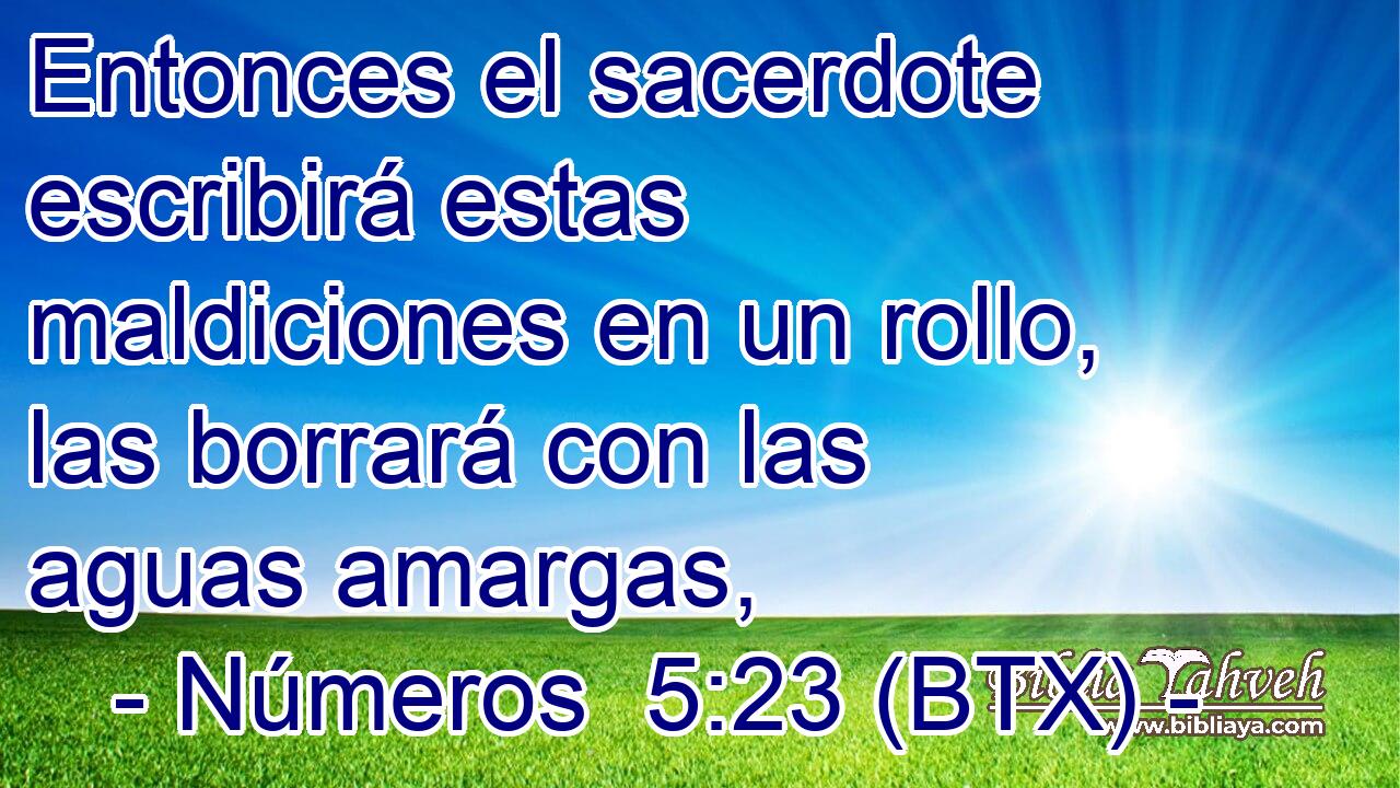 Entonces el sacerdote escribirá estas maldiciones en un rollo, las borrará con las aguas amargas,