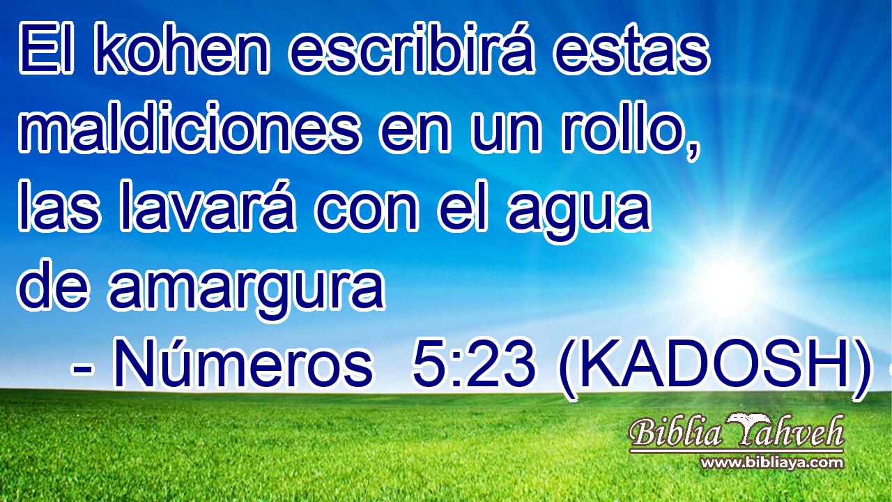  El kohen escribirá estas maldiciones en un rollo, las lavará con el agua de amargura 