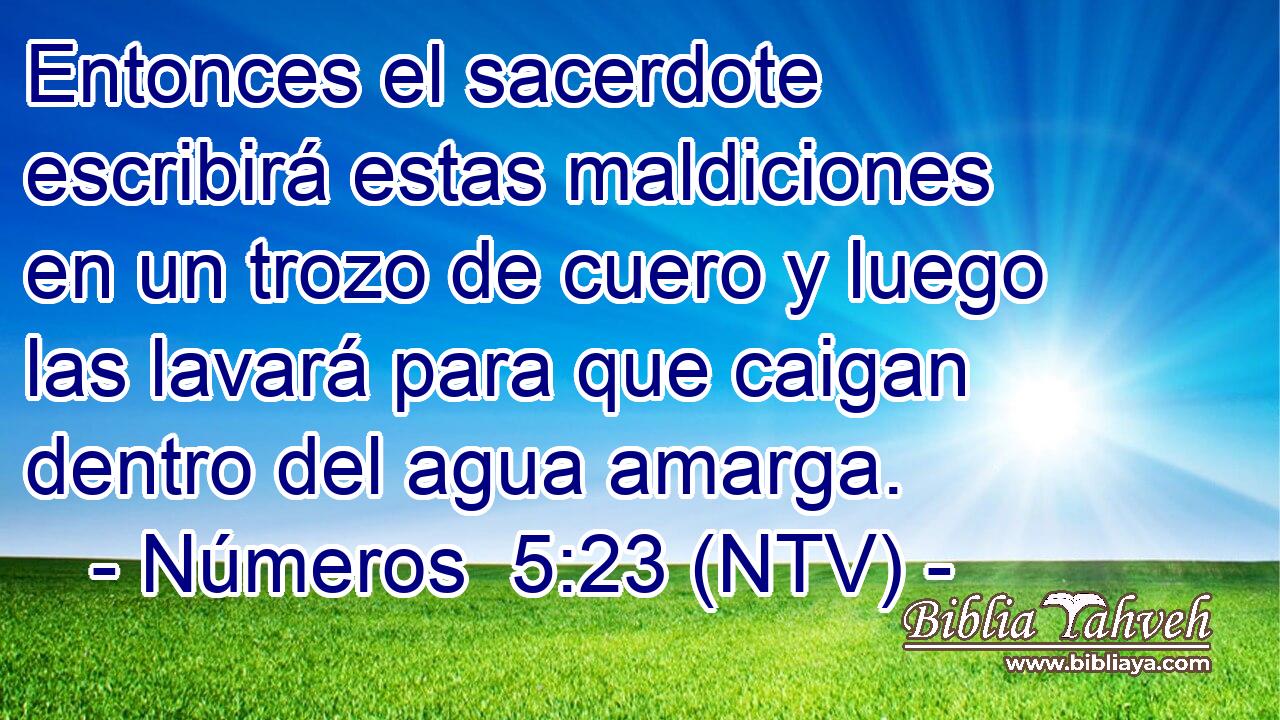 Entonces el sacerdote escribirá estas maldiciones en un trozo de cuero y luego las lavará para que caigan dentro del agua amarga.