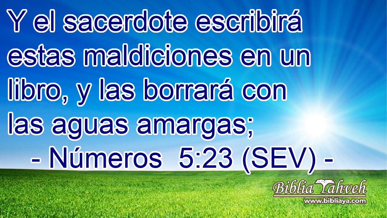Y el sacerdote escribirá estas maldiciones en un libro, y las borrará con las aguas amargas;