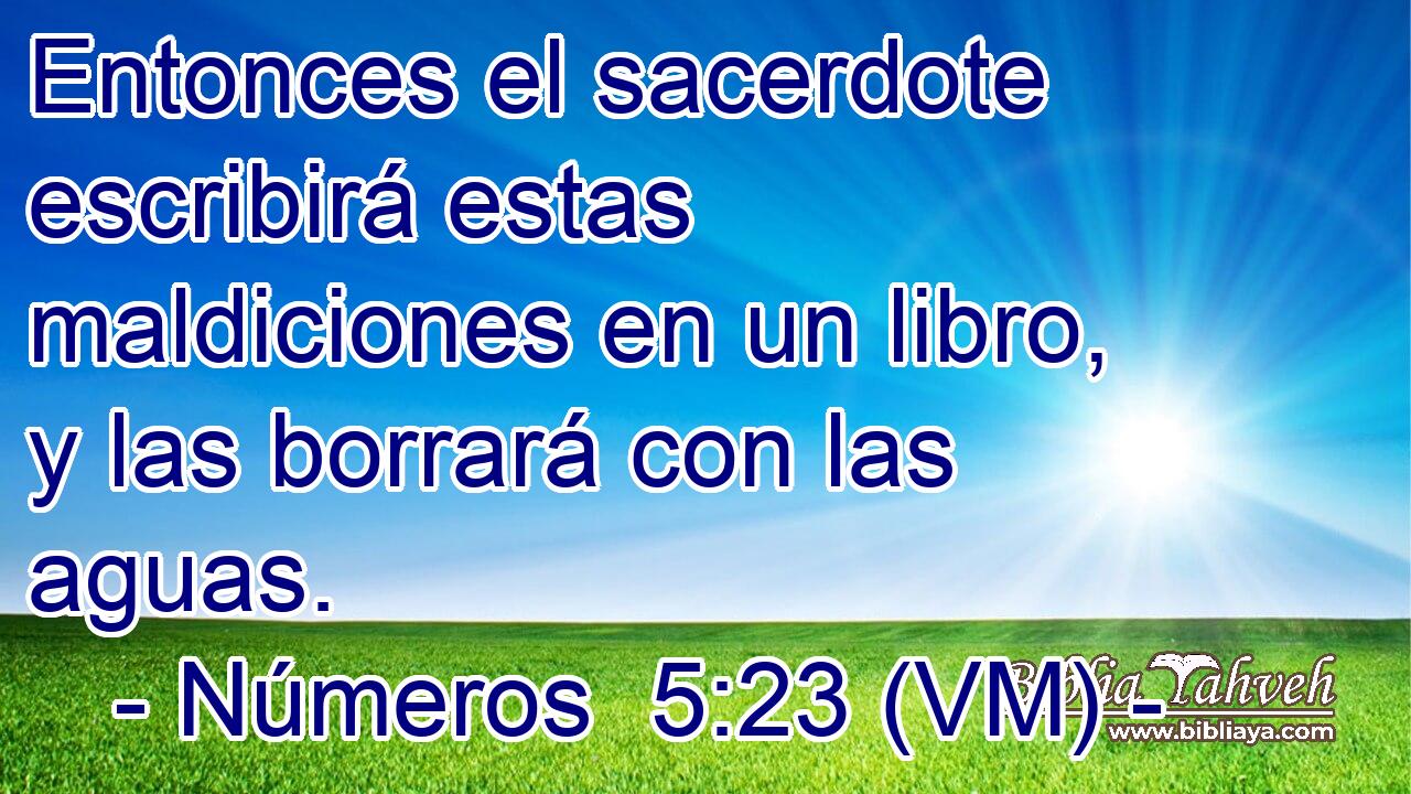 Entonces el sacerdote escribirá estas maldiciones en un libro, y las borrará con las aguas. 