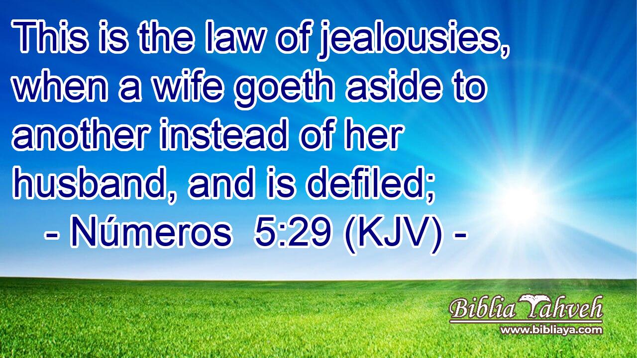 This is the law of jealousies, when a wife goeth aside to another instead of her husband, and is defiled;