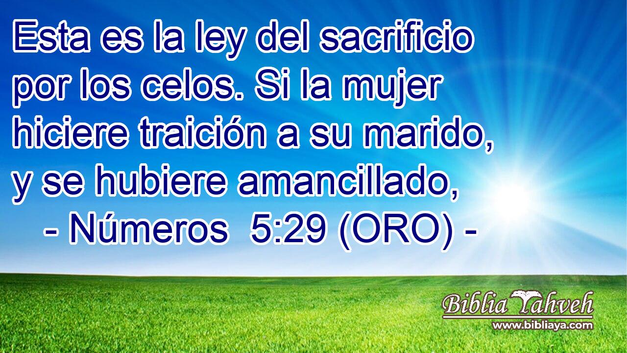  Esta es la ley del sacrificio por los celos. Si la mujer hiciere traición a su marido, y se hubiere amancillado, 