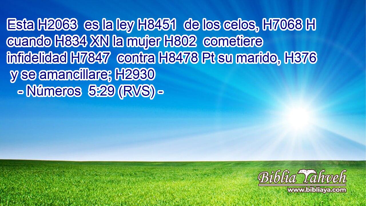 Esta H2063  es la ley H8451  de los celos, H7068 H cuando H834 XN la mujer H802  cometiere infidelidad H7847  contra H8478 Pt su marido, H376  y se amancillare; H2930  