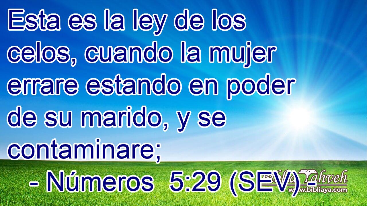 Esta es la ley de los celos, cuando la mujer errare estando en poder de su marido, y se contaminare;