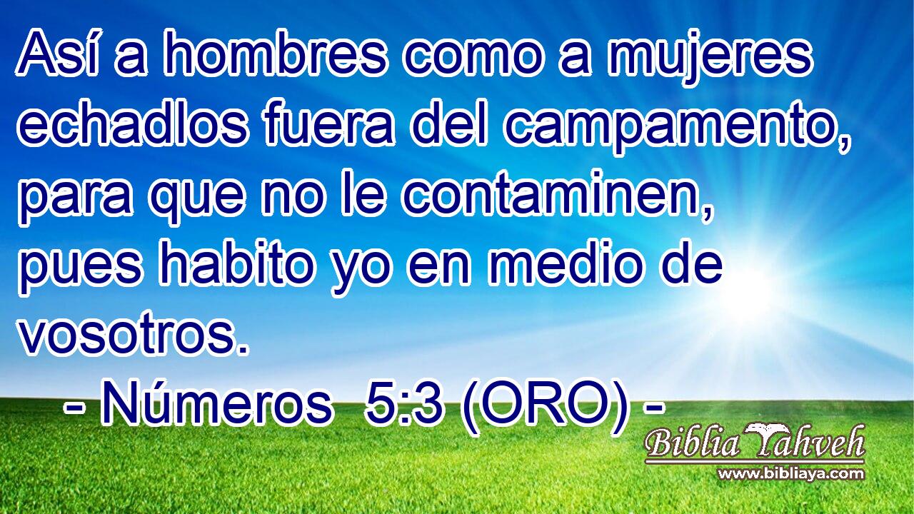  Así a hombres como a mujeres echadlos fuera del campamento, para que no le contaminen, pues habito yo en medio de vosotros. 