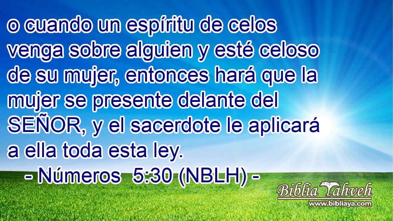  o cuando un espíritu de celos venga sobre alguien y esté celoso de su mujer, entonces hará que la mujer se presente delante del SEÑOR, y el sacerdote le aplicará a ella toda esta ley. 