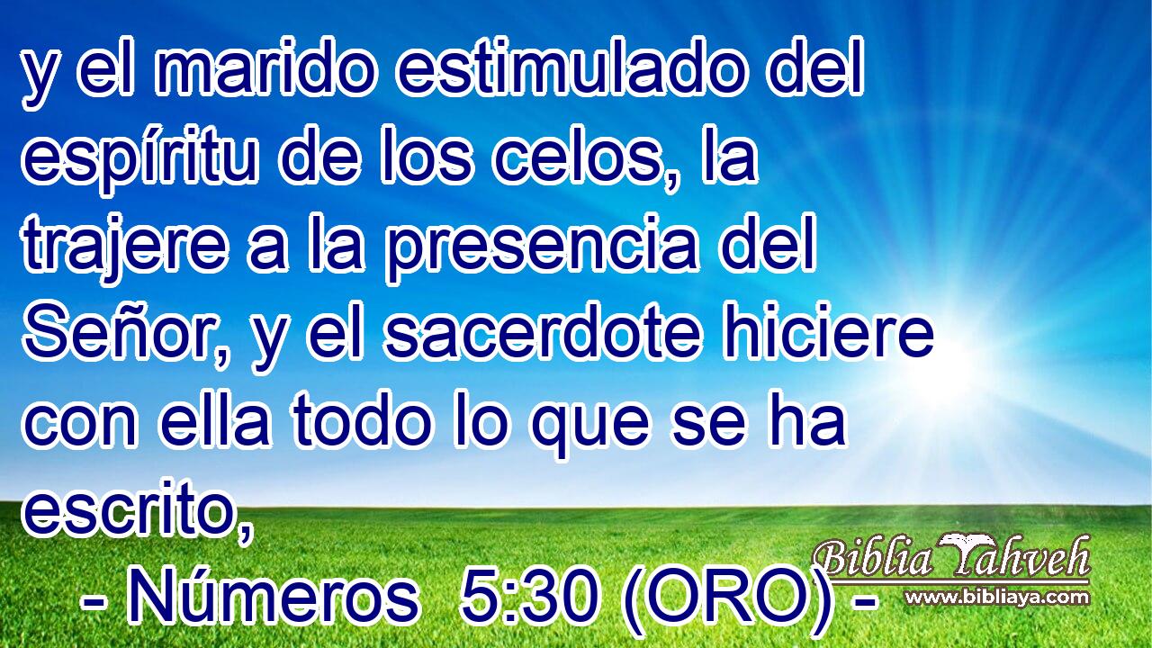  y el marido estimulado del espíritu de los celos, la trajere a la presencia del Señor, y el sacerdote hiciere con ella todo lo que se ha escrito, 