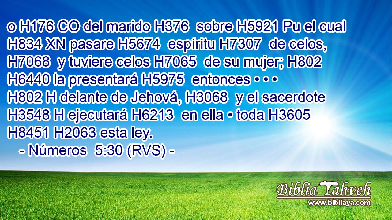 o H176 CO del marido H376  sobre H5921 Pu el cual H834 XN pasare H5674  espíritu H7307  de celos, H7068  y tuviere celos H7065  de su mujer; H802  H6440 la presentará H5975  entonces • • • H802 H delante de Jehová, H3068  y el sacerdote H3548 H ejecutará H6213  en ella • toda H3605  H8451 H2063 esta ley. 