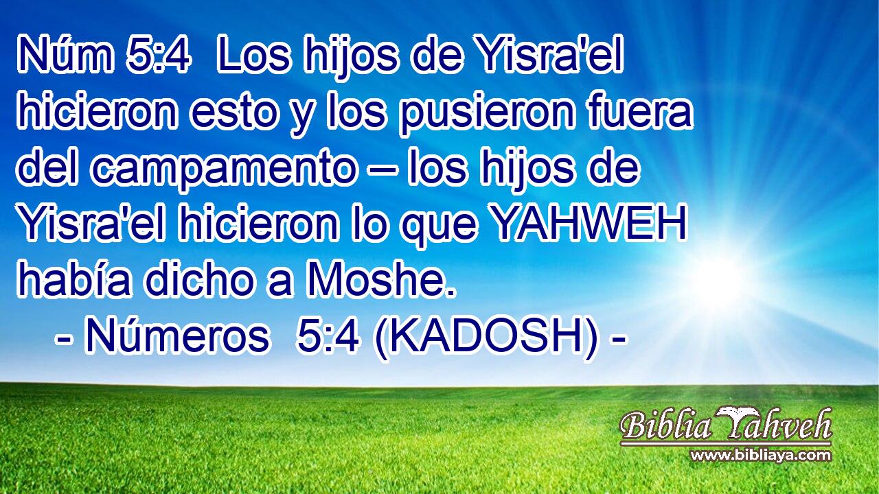  Los hijos de Yisra'el hicieron esto y los pusieron fuera del campamento – los hijos de Yisra'el hicieron lo que YAHWEH había dicho a Moshe. 
