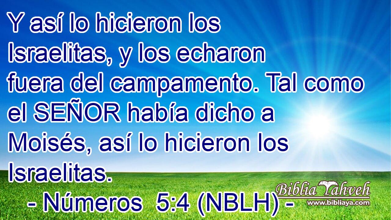  Y así lo hicieron los Israelitas, y los echaron fuera del campamento. Tal como el SEÑOR había dicho a Moisés, así lo hicieron los Israelitas. 