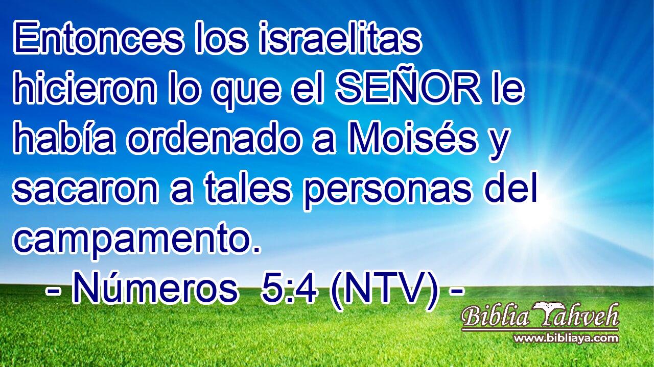 Entonces los israelitas hicieron lo que el SEÑOR le había ordenado a Moisés y sacaron a tales personas del campamento.