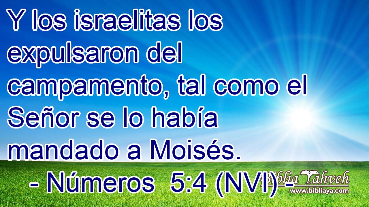  Y los israelitas los expulsaron del campamento, tal como el Señor se lo había mandado a Moisés. 