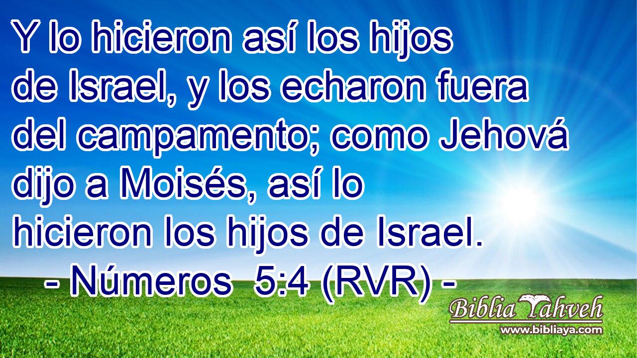Y lo hicieron así los hijos de Israel, y los echaron fuera del campamento; como Jehová dijo a Moisés, así lo hicieron los hijos de Israel.