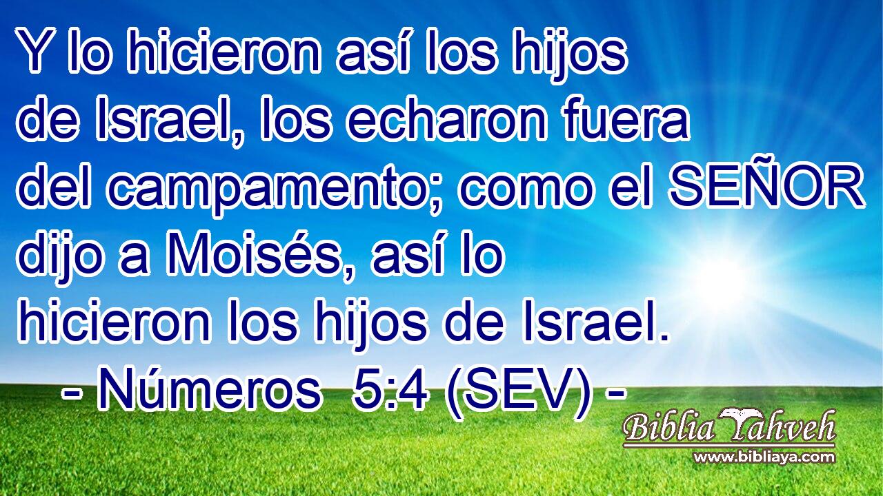 Y lo hicieron así los hijos de Israel, los echaron fuera del campamento; como el SEÑOR dijo a Moisés, así lo hicieron los hijos de Israel.